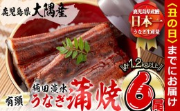 【ふるさと納税】【丑の日までに配送】楠田の極うなぎ 蒲焼き 200g以上×6尾(計1.2kg以上) e7-011-us