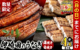 【ふるさと納税】【丑の日までに配送】【数量限定】鹿児島県産 伊崎田のうなぎ蒲焼き＆白焼きセット(計4尾/各2尾/計540g以上) b8-008-us