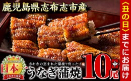 【ふるさと納税】【丑の日までに配送】うなぎの大楠＜中＞10尾セット計1.3kg(130g×10) e9-001-us