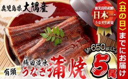 【ふるさと納税】【丑の日までに配送】楠田の極うなぎ 蒲焼き130g以上×5尾(650g以上) c0-092-us