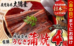 【ふるさと納税】【丑の日までに配送】楠田の極うなぎ 蒲焼き 190g以上×4尾(計760g以上) c3-018-us