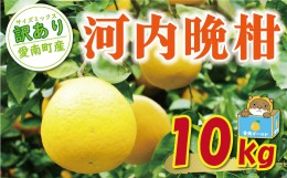 【ふるさと納税】訳あり 河内晩柑 10kg 10000円 （発送期間：4月上旬〜無くなり次第終了） みかん かわちばんかん 愛南ゴールド あいなん