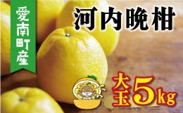 【ふるさと納税】河内晩柑 大玉 5kg 8000円 （発送期間：4月上旬〜無くなり次第終了） みかん かわちばんかん 愛南ゴールド あいなん ゴ