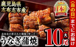 【ふるさと納税】【丑の日までに配送】うなぎの大楠＜大＞10尾セット計1.5kg(150g×10) f7-001-us