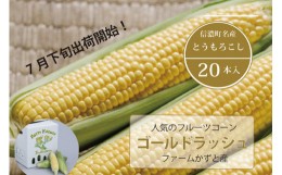 【ふるさと納税】【2024年8月発送】 信濃町名産とうもろこし『ファームかずとのゴールドラッシュ 20本セット』｜２０２４年８月上旬以降