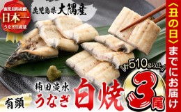 【ふるさと納税】【丑の日までに配送】楠田の極うなぎ 白焼き 170g以上×3尾(計510g以上) b2-012-us