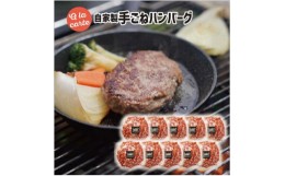 【ふるさと納税】スミテラスの自家製手ごねハンバーグ 10個【1435058】