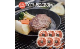 【ふるさと納税】スミテラスの自家製手ごねハンバーグ 6個【1435134】