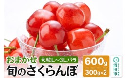 【ふるさと納税】《関東限定発送》《2024年6月中旬以降発送》おまかせ 旬のさくらんぼ 大粒L〜3Lバラ詰め 600g（300g×2）