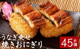 【ふるさと納税】うなぎ乗せ 焼きおにぎり 110g 計45個