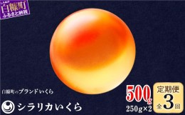 【ふるさと納税】年3回お届け定期便 シラリカいくら（生いくら） 500g(250g×2) お好みに味付けができます いくら イクラ 生いくら 生イ