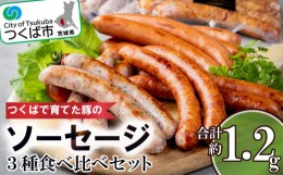 【ふるさと納税】つくばで育てた豚のソーセージ３種食べ比べセット【 豚肉 おつまみ 肉 加工品 ウインナー ハム あらびき 粗びき ハーブ 