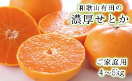 【ふるさと納税】 和歌山有田の濃厚せとか　約4〜5kg(ご家庭用)　※2025年２月中旬〜3月上旬順次発送予定/みかん 蜜柑 フルーツ 果物 せ