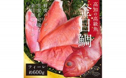 【ふるさと納税】数量限定　海鮮金目鯛のフィーレ600g＜高知市共通返礼品＞