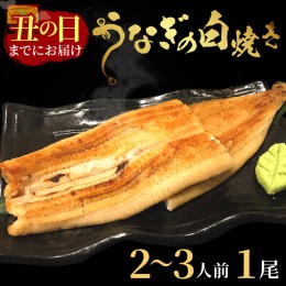 【ふるさと納税】【土用の丑の日までに届く！（8月2〜4日配送）】うなぎの白焼き2〜3人前(1尾)