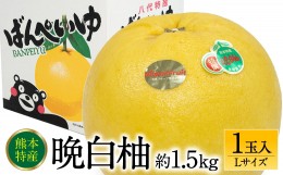 【ふるさと納税】【先行予約】 晩白柚Lサイズ 1玉入り 約1.5kg 【2024年12月中旬より順次発送】