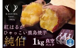 【ふるさと納税】鹿島焼芋　純伯　1kg【焼き芋 やきいも 冷凍焼き芋 冷凍 さつまいも 芋 お菓子 おやつ デザート スイーツ 和菓子 和スイ