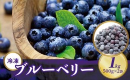 【ふるさと納税】冷凍 ブルーベリー 1kg （ 500g × 2パック ） フルーツ 果物 くだもの 手摘み 新鮮 ベリー EM栽培 お菓子作り ジャム 
