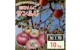 【ふるさと納税】信州りんご 加工用 10kg サンふじ【1508406】
