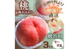 【ふるさと納税】＜旬にあわせたおいしい桃をお届け!＞贈答用　桃  3kg(品種おまかせ 9〜11玉)【1508589】