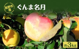 【ふるさと納税】長野市産「ぐんま名月」約3kg