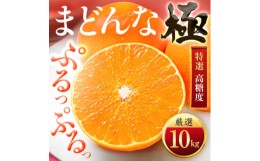 【ふるさと納税】「夕やけブランド」ぷるぷる食感＜まどんな＞10kg＜H49-40＞【1508955】