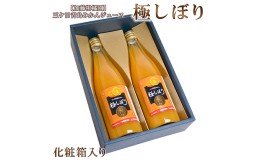 【ふるさと納税】【加藤柑橘園】青島三ケ日みかんジュース『極しぼり』2本セット（化粧箱）【配送不可：北海道・沖縄・離島】