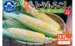 【ふるさと納税】≪2024年 先行予約≫富士北麓忍野村の気候、水、自然で作られた朝採りトウモロコシ《ピーターコーン》4本〜5本（約2.5？