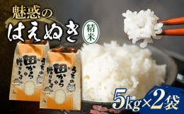 【ふるさと納税】令和6年 魅惑のはえぬき10kg（5kg×2） 米 お米 おこめ 山形県 新庄市 F3S-2064