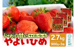 【ふるさと納税】じゅわっと甘い！サイズいろいろ【やよいひめ】約2700g（約900g×3箱／梱包込）