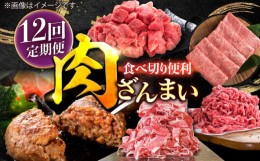 【ふるさと納税】【12回定期便】肉ざんまい定期便 一人暮らし 少量【川崎畜産】 [IAX051]