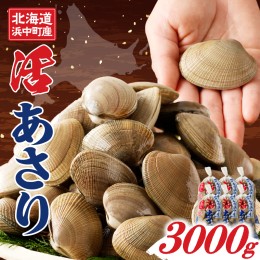 【ふるさと納税】4月〜6月発送分《先行予約・期間限定》浜中町産活あさり(500g×6袋セット)_230205-02