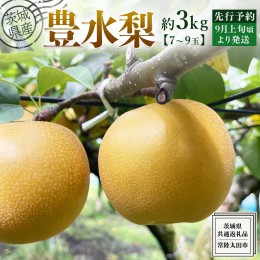 【ふるさと納税】【 先行予約 】茨城県産 梨 豊水 約 3kg 7玉〜9玉 ( 茨城県共通返礼品 : 常陸太田市 ) 【 2024年 9月上旬頃より発送 】 