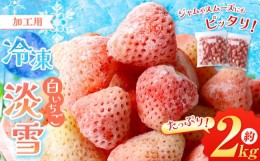 【ふるさと納税】冷凍 白 いちご 淡雪 約 2kg | 果物 フルーツ 苺 イチゴ スムージー ジャム 加工用 夏 アイス