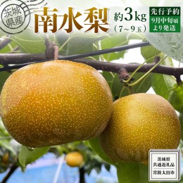 【ふるさと納税】【 先行予約 】茨城県産 梨 南水 約 3kg 7玉〜9玉 ( 茨城県共通返礼品 : 常陸太田市 )  【 2024年 9月中旬頃より発送 】