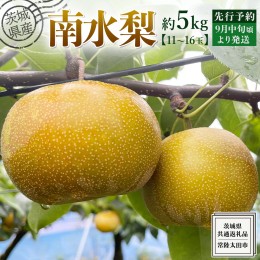 【ふるさと納税】【 先行予約 】茨城県産 梨 南水 約 5kg 11玉〜16玉( 茨城県共通返礼品 : 常陸太田市 )  【 2024年 9月中旬頃より発送 