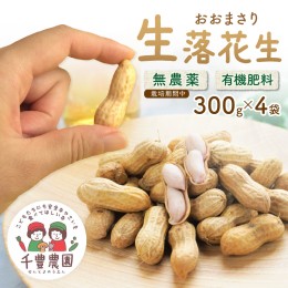 【ふるさと納税】【先行予約/数量限定100】農家直送　生落花生(おおまさり)　300g×4袋　レシピ付き