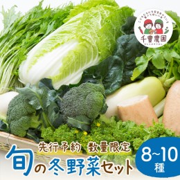 【ふるさと納税】【先行予約／数量限定100】農家直送　旬の冬野菜8〜10種セット