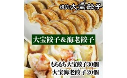 【ふるさと納税】もちもち国産ジャンボ焼き餃子30個と海老餃子20個セット