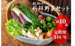 【ふるさと納税】越知産市の季節の野菜セット(年3回発送)　産地直送　旬野菜