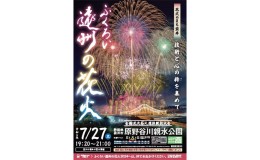 【ふるさと納税】限定50セット　ふくろい遠州の花火(7月27日)ペアチケット有料芝生ブロック席