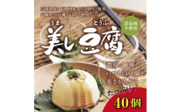 【ふるさと納税】4個入り　美し豆腐（10袋セット）