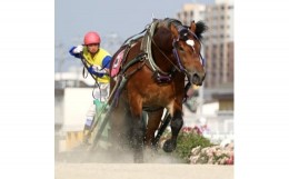 【ふるさと納税】＜北海道帯広＞世界にたったひとつ!ばんえい競馬　個人冠協賛レース【1205457】