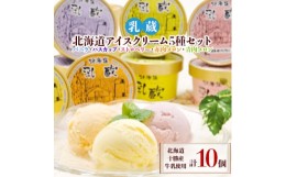 【ふるさと納税】乳蔵北海道アイスクリーム5種セット(計10個)(110130)【1206078】