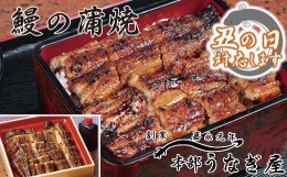 【ふるさと納税】【土用の丑 No.2】本部うなぎ屋 鰻の蒲焼 国産うなぎ 宮崎蒲焼 鰻 ＜3-8＞