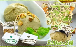 【ふるさと納税】【数量限定】アイス 食べ比べピスタチオジェラート 500ml×２種【シチリア産ピスタチオ】【豆乳ピスタチオ】