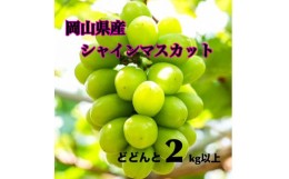 【ふるさと納税】【大粒】ご家庭用　岡山県産シャインマスカット【甘い】たっぷり4房2kg以上