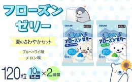 【ふるさと納税】120粒入り！下仁田のフローズンゼリー2種 夏のさわやかセット（2種×10袋6粒入り） F21K-384