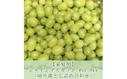 【ふるさと納税】ぶどう マスカット 家庭用 2024年 先行予約 9月以降発送 シャインマスカット 約1.0kg 【 切り落とし 詰め合わせ 】 ブド