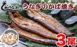 【ふるさと納税】【土用の丑 No.1】藤うなぎ かば焼き3尾 国産うなぎ 宮崎 蒲焼 鰻＜2.5-6＞